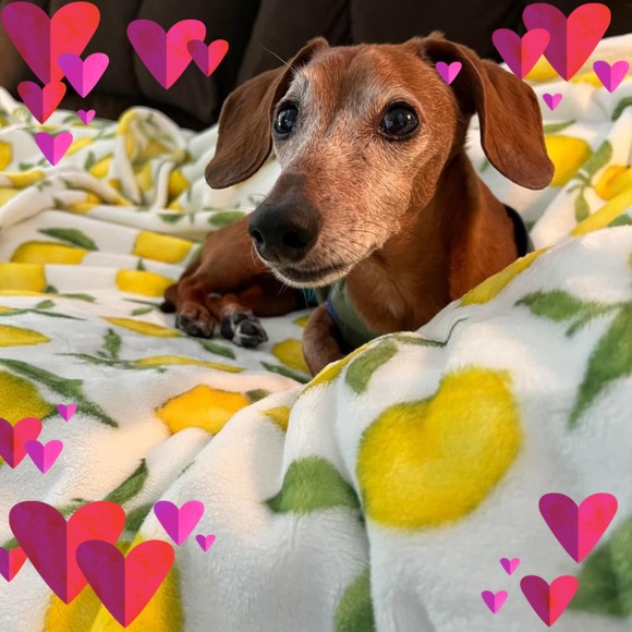 Meet your Posher, Beth - Picture 1 of 1